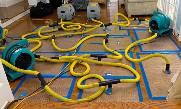 Professional Water Damage Repair technician working in Marlboro, NY